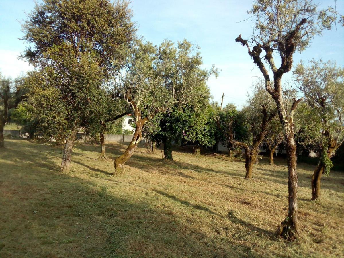 הוילה פיגרו דוס ויניוס Casa Do Olival מראה חיצוני תמונה
